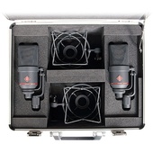 Neumann TLM 170 R Multi-Pattern Large-Diaphragm Studio Condenser Microphones (Stereo Set, Nickel)