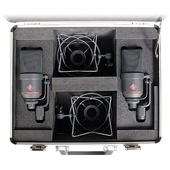 Neumann TLM 170 R MT Multi-Pattern Large-Diaphragm Studio Condenser Microphones (Stereo Set, Black)