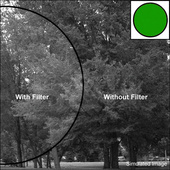 Tiffen 105C (Coarse Thread) Green 58 Glass Filter for Black & White Film
