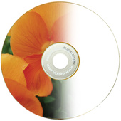 Delkin Inkjet BD-R Binder (5)