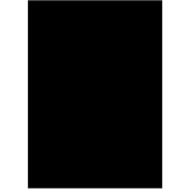 Custom Backdrop 6m x 3m with Rod Pocket and Eyelets
