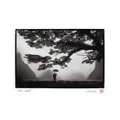 Print Milford Umbrella by Jackie Ranken