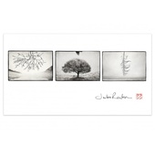 Print Other Realities Collection III by Jackie Ranken