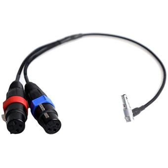 Atomos XLR Breakout Cable for Shogun (Input Only)
