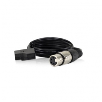 Core SWX P-Tap to 4-Pin XLR Cable (70 cm)