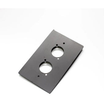 Livesound WP02-P Double D'Series Wall Plate (Black, Vertical)