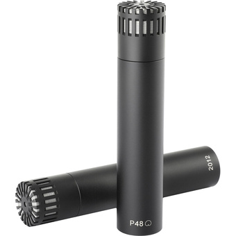 DPA Microphones ST2012 Compact Cardioid Condenser Microphone (Stereo Pair)
