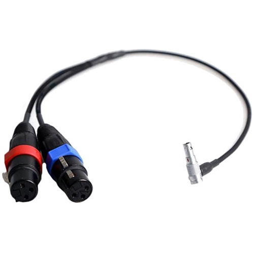 Atomos XLR Breakout Cable for Shogun (Input Only)