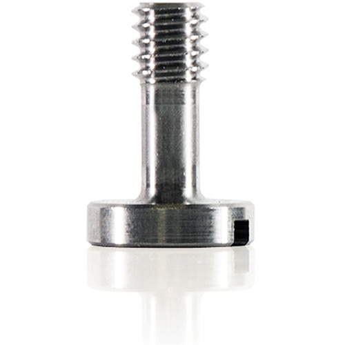 SHAPE 1/4"-20 Screw