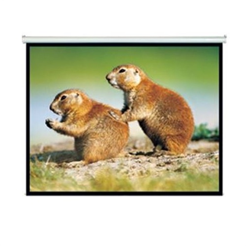 BRATECK 150" Projector Screen