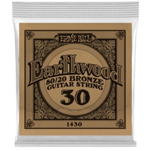 Ernie Ball .030 Earthwood 80/20 Bronze Acoustic Guitar String