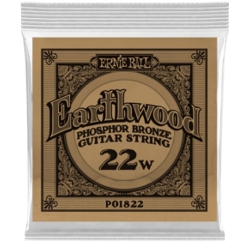 Ernie Ball .022 Earthwood Phosphor Bronze Acoustic Guitar String