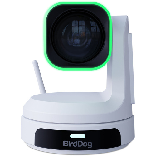 BirdDog X1 Ultra PTZ Camera with 12x Zoom (White)