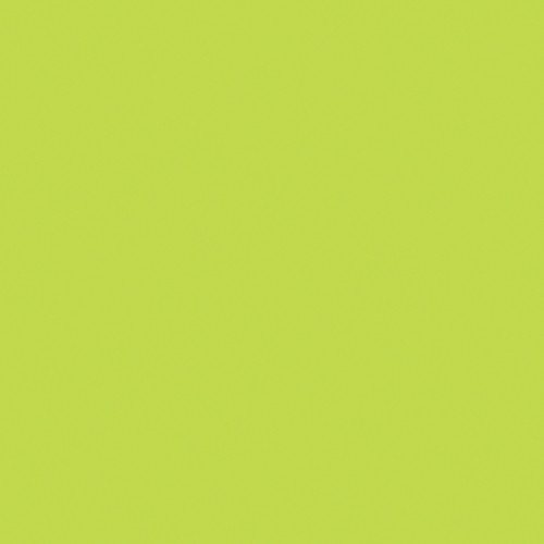 Rosco E-Colour 505 Sally Green (48" x 25' Roll)