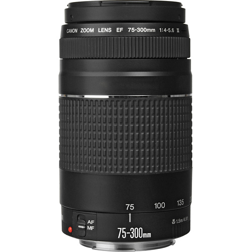 Canon EF 75-300mm f/4-5.6 III Lens
