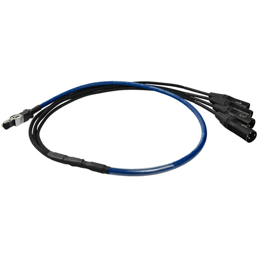SoundTools SuperCAT Sound Tails Male RJ45 to Four Male XLR Breakout Cable (1.3m)