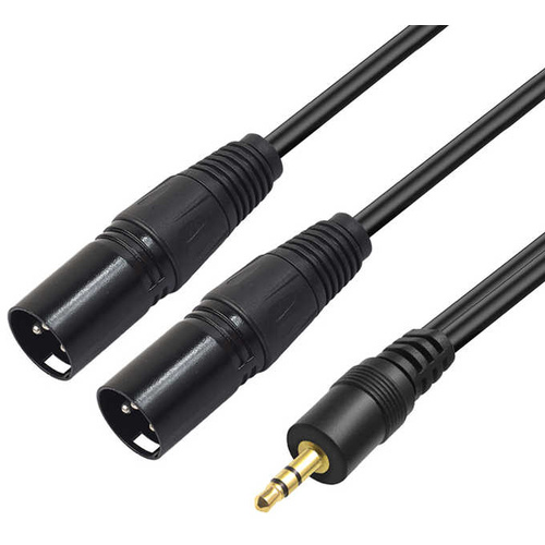 Titan Stereo Mini Male to 2 XLR Male Y-Cable (0.5m)