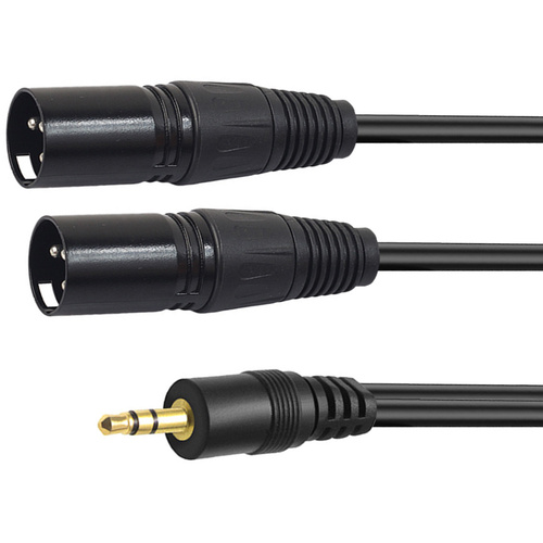 Titan Stereo Mini Male to 2 XLR Male Y-Cable (2m)