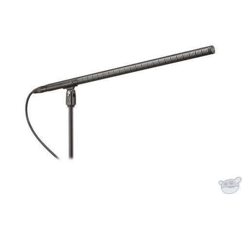 Audio Technica BP4071L Line and Gradient Condenser Microphone