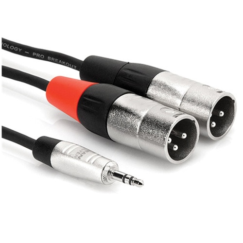 Hosa HMX-010Y 3.5" Stereo Mini to Dual 3-Pin XLR Male Breakout Cable (10')