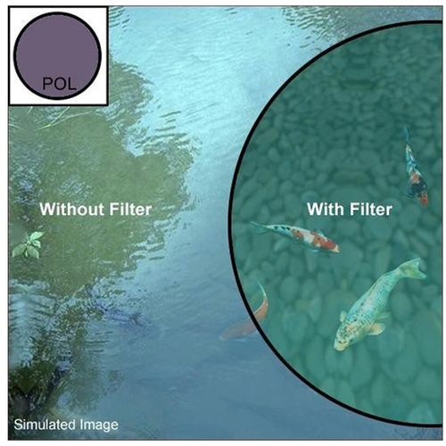 Canon 67mm Circular Polarizing Filter