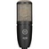 AKG Project Studio P220 Large Diaphragm Condenser Microphone (Black)