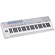 Icon Pro Audio InSpire 6 G2 - 61-Key MIDI Keyboard & Drum Pad Controller