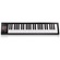 Icon Pro Audio iKeyboard 5 Nano Midi Controller Keyboard