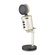 Icon Pro Audio U24 USB Recording Microphone