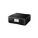 Canon PIXMA TS8160 6-Ink Wireless All-in-One Printer (Black)
