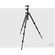 Manfrotto M-Y Compact Tripod with Ball Head 7302YB