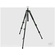 Manfrotto 190XV - View Aluminium Tripod (green)