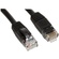 Tether Tools TetherPro Cat6 550 MHz Network Cable 15.24 m (Black)