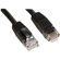 Tether Tools TetherPro Cat6 550 MHz Network Cable 22.86 m (Black)