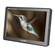 Lilliput A8S Full HD 8.9 Inch Monitor With 4K Camera Assist With 3G-SDI