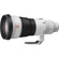 Sony Alpha FE 400mm F2.8 GM OSS E Mount Lens
