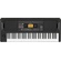 Korg EK-50 61-Key Arranger Keyboard with Built-In Speakers