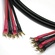 Canare 4S11 Speaker Cable 4 Spade to 4 Spade (40')