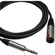 Canare Starquad TRSM-TRSF Extension Cable (Black, 20')