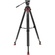 Sachtler ACE XL Tripod System with FT 75 Legs & Mid-Level Spreader