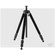 Velbon Geo N530 CF Tripod