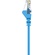 Belkin CAT6 Ethernet Snagless Patch Cable (3m, Blue)