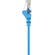 Belkin CAT5e Ethernet Snagless Patch Cable (10m, Blue)