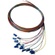 DYNAMIX 2M LC Pigtail OM1 12x Pack Colour Coded