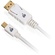 IOGEAR Mini DisplayPort to DisplayPort Cable (6')