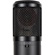 sE Electronics sE2300 Studio Condenser Microphone with Switchable Polar Patterns and Isolation Pack