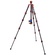 3 Legged Thing Leo 2.0 Tripod Kit with AirHed Pro Lever Ball Head (Bronze and Blue)