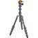 3 Legged Thing Leo 2.0 Tripod Kit with AirHed Pro Lever Ball Head (Grey)