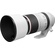 Canon RF 100-500mm f/4.5-7.1L IS USM Lens
