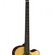 Cort SJB5F Acoustic Bass Guitar With Bag (Natural Skin)